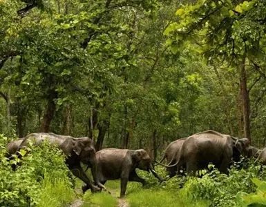 Kerala Backwater Tour